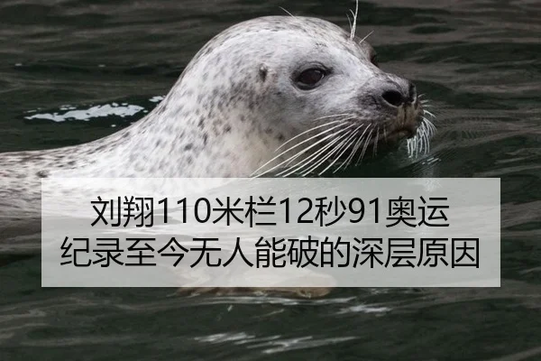 刘翔110米栏12秒91奥运纪录至今无人能破的深层原因