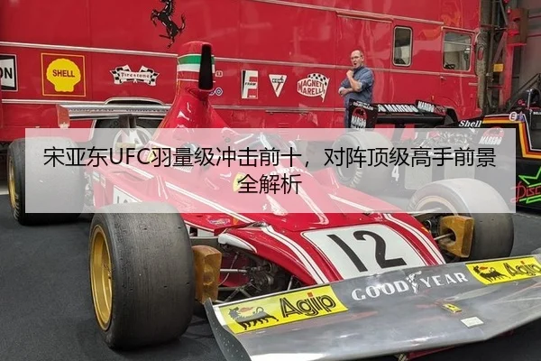 宋亚东UFC羽量级冲击前十，对阵顶级高手前景全解析