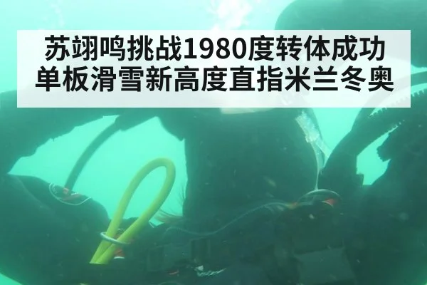 苏翊鸣挑战1980度转体成功 单板滑雪新高度直指米兰冬奥